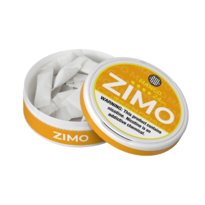 ZIMO NIC POUCH MANGO 24MG 1X10